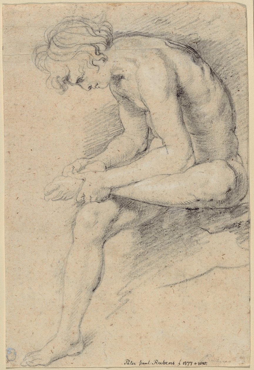 Spinario Pozunda Çıplak Gençlik by Peter Paul Rubens