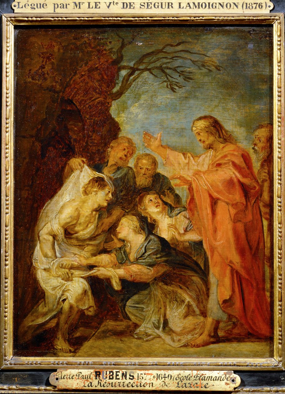  by Peter Paul Rubens