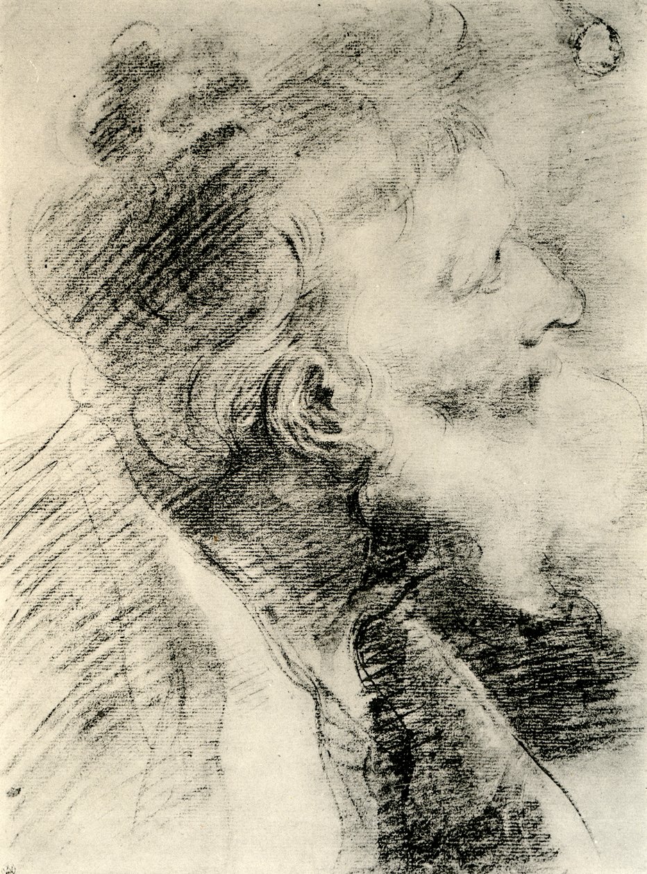 Yaşlı Bir Adamın Başı için Çalışma, 1913. by Peter Paul Rubens