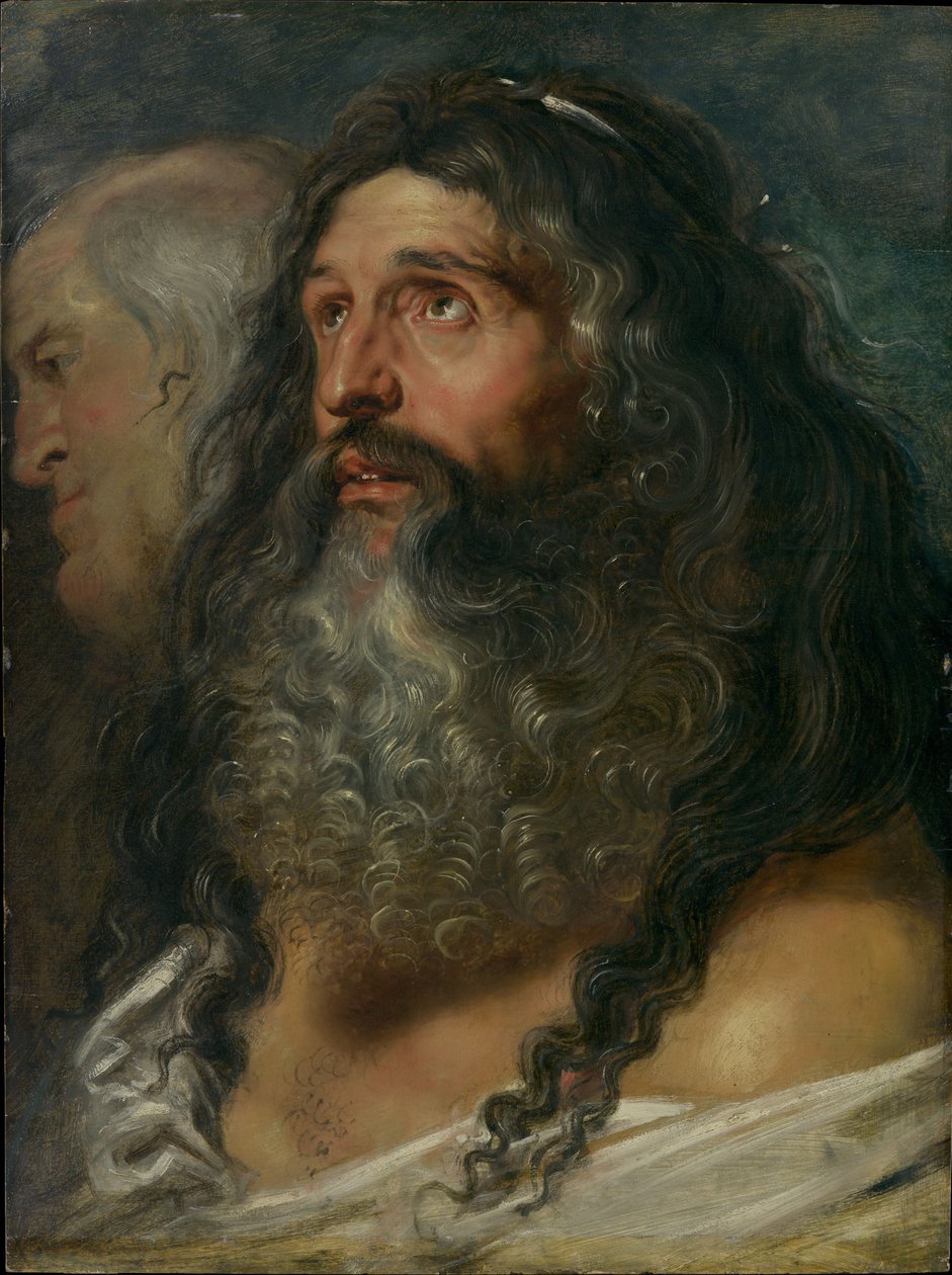 İki Başın İncelenmesi, c.1609 by Peter Paul Rubens