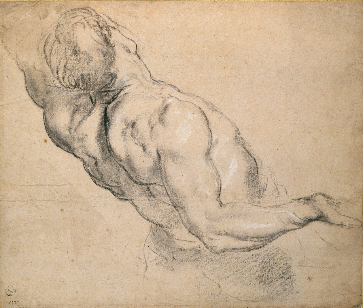Çıplak bir erkek Gövde çalışması, 1600-1640 by Peter Paul Rubens