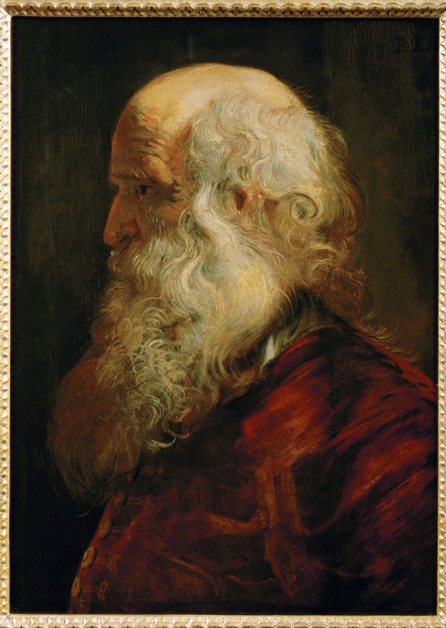  by Peter Paul Rubens