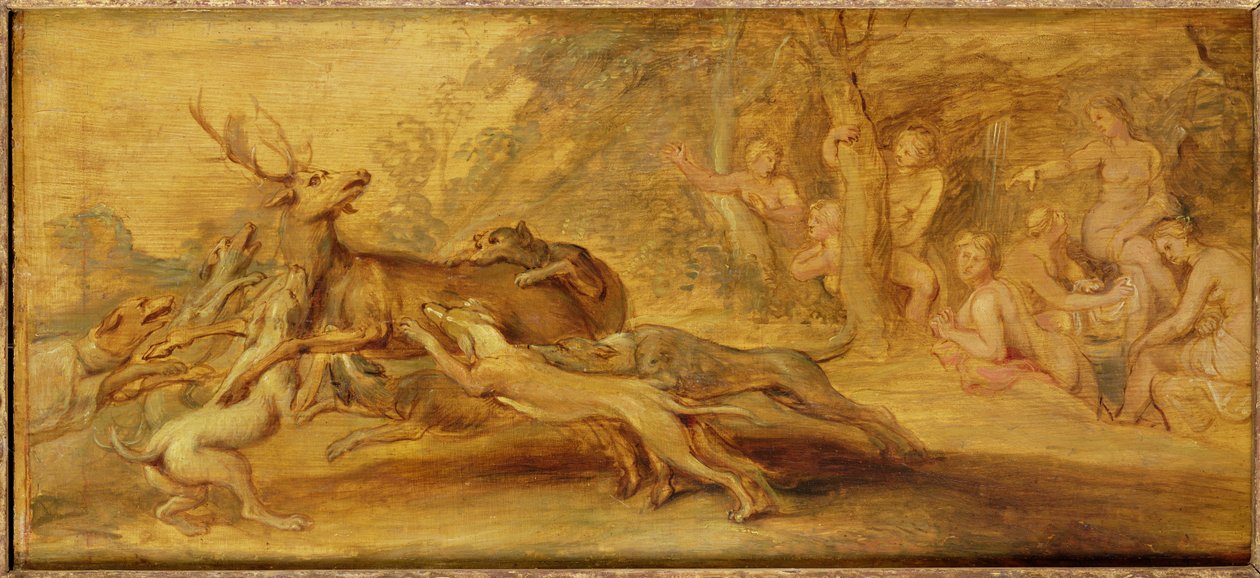 Bilinmeyen resim by Peter Paul Rubens