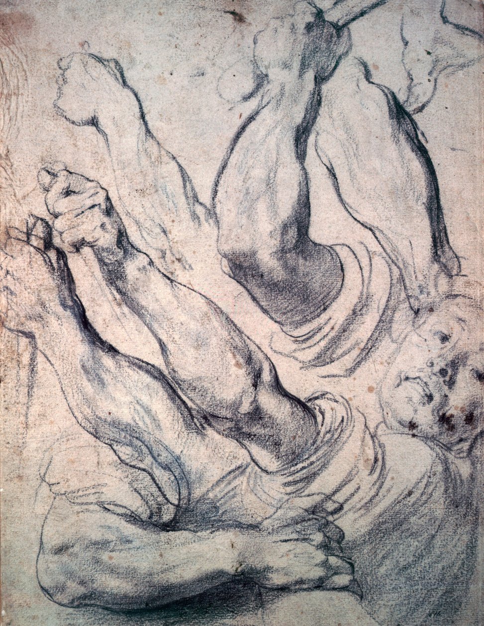 Bilinmeyen resim by Peter Paul Rubens