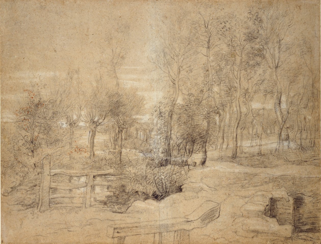 Woodland Scene, 17. yüzyılın başlarında by Peter Paul Rubens