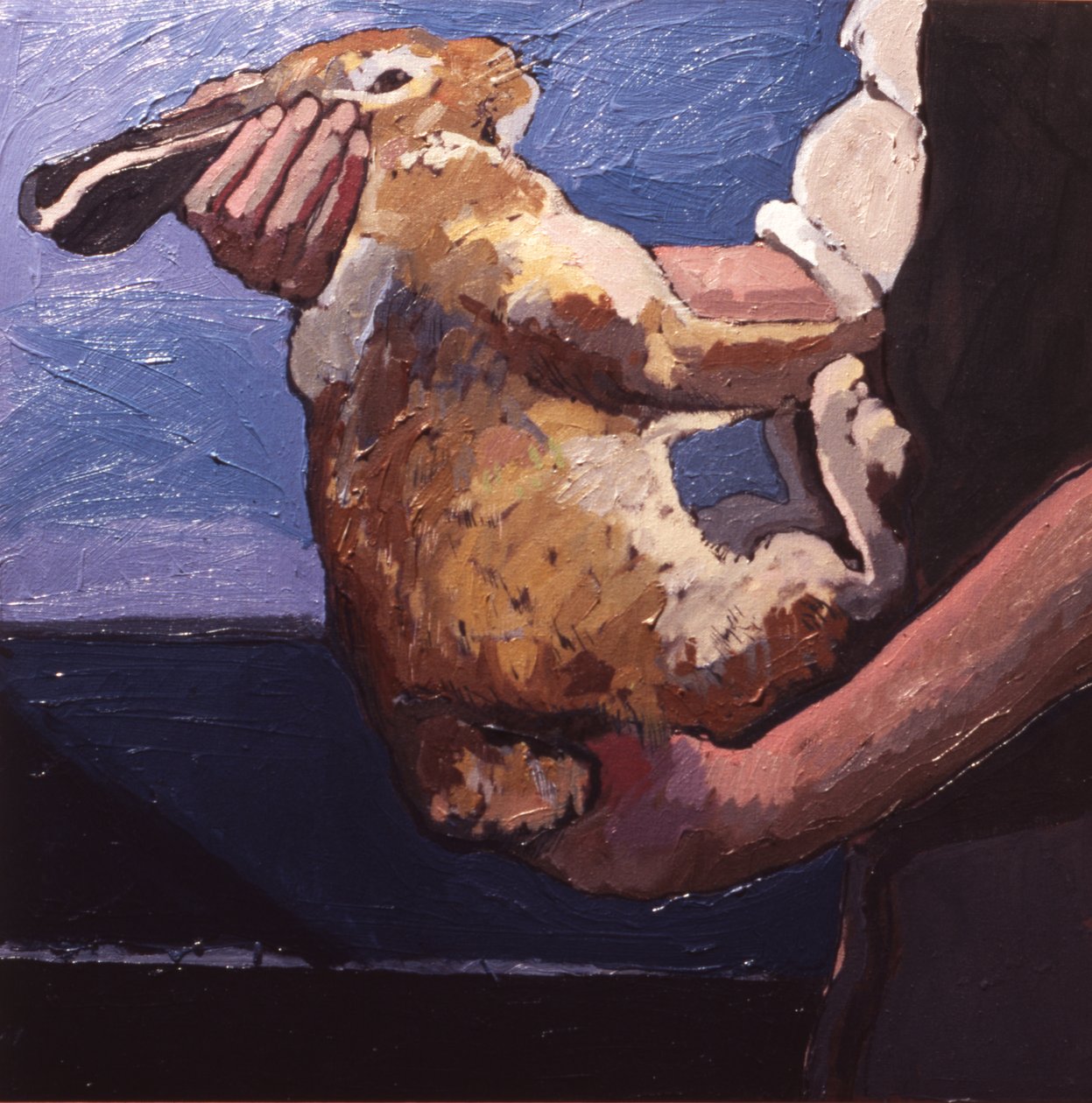  by Peter Wilson