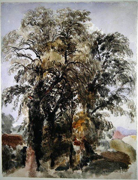 Uzakta Çiftlik Binaları Olan Ağaçlar (kağıt üzerine sulu boya) by Peter de Wint