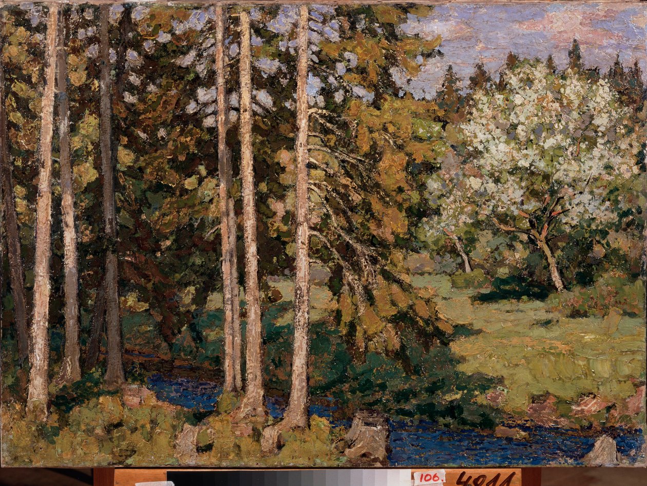 Mayıs ayında elma ağaçları. Pyotr Ivanovich Petrovichev'in (Pyotr Petrovichev) (1874-1947) tablosu, tuval üzerine yağlı boya. Rus sanatı, 20. yüzyıl manzarası, modernizm. Bölgesel Sanat Galerisi, Chelyabinsk (Rusya). by Petr Ivanovic Petrovichev