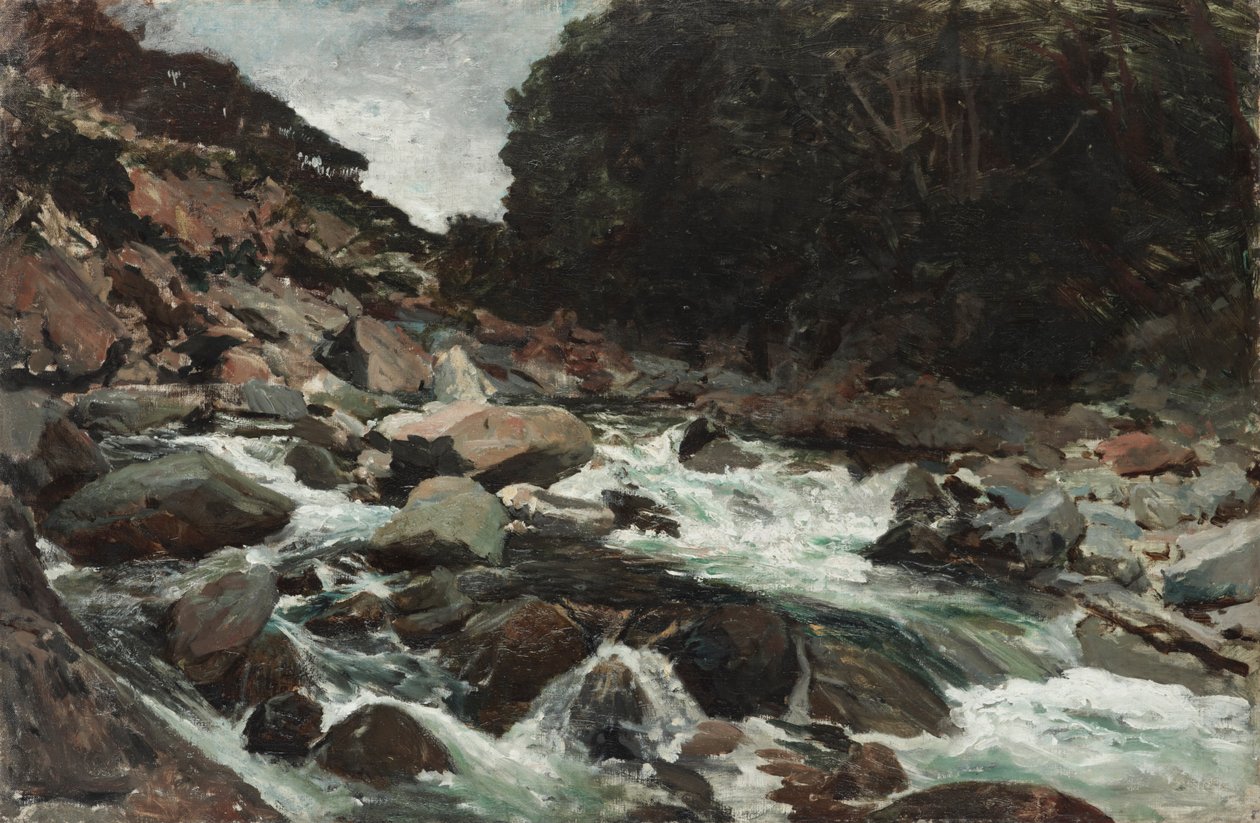 Dağ Çayı, Otira Gorge by Petrus van der Velden