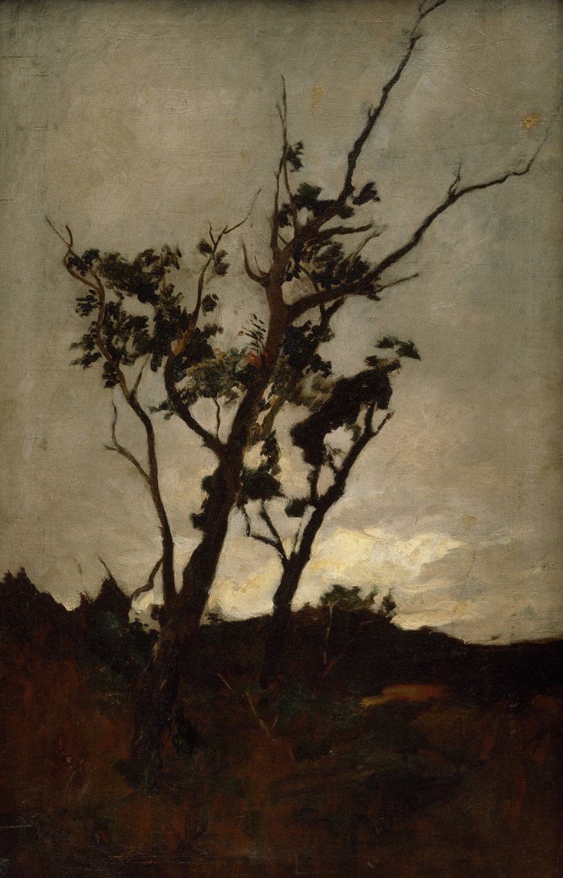 Ağaç çalışması by Petrus van der Velden