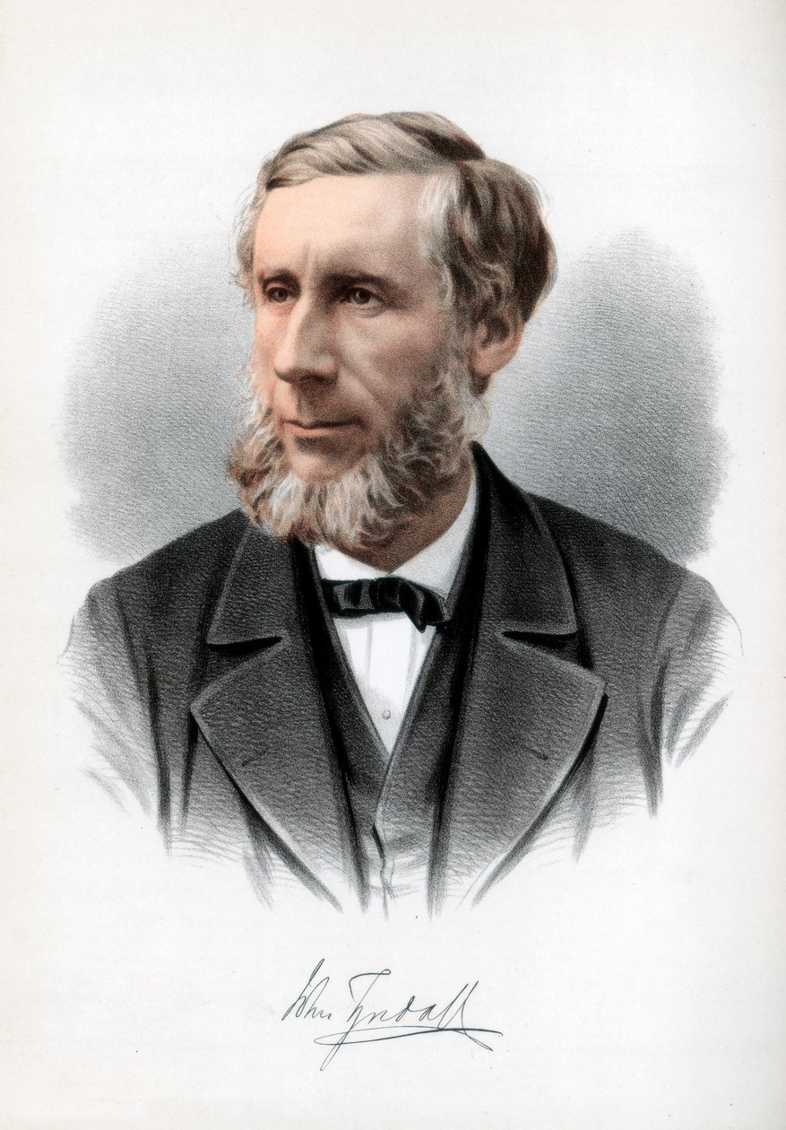 Profesör John Tyndall, İrlandalı doğa filozofu, c1890. by Petter and Galpin Cassell