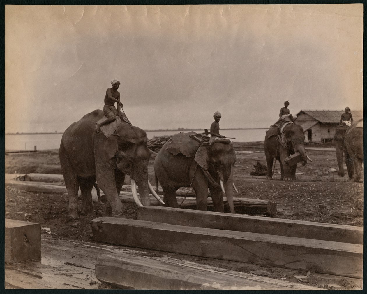 Fillerle çalışma, c.1880 (albüm baskısı) by Philip Adolphe Klier