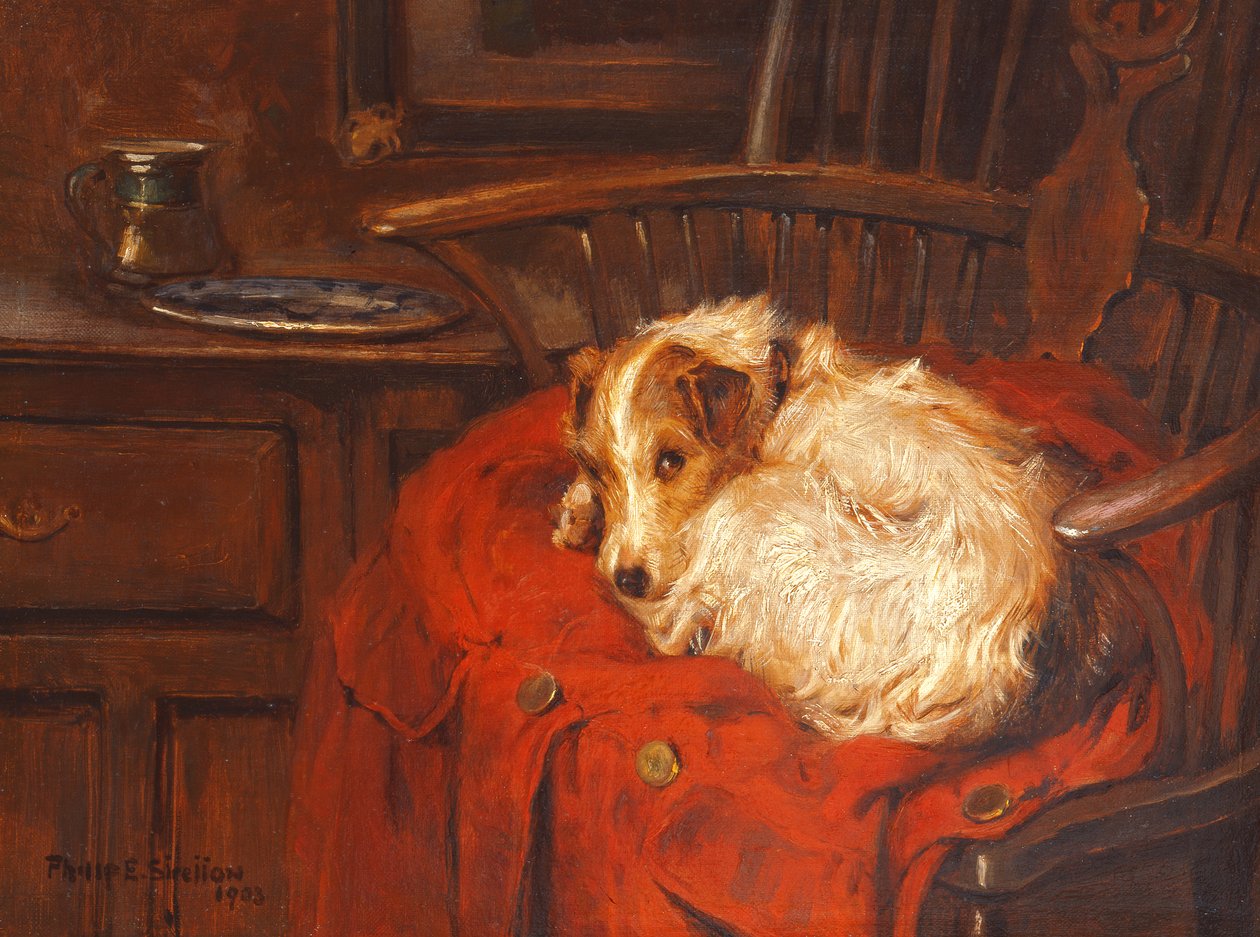 Favori Sandalye, 1903 by Philip Eustace Stretton