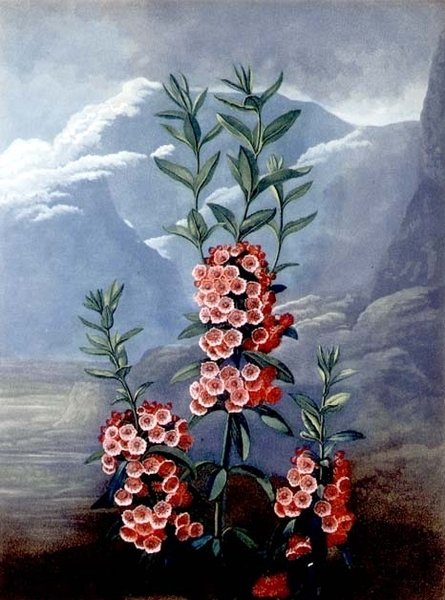 Caldwell tarafından 
