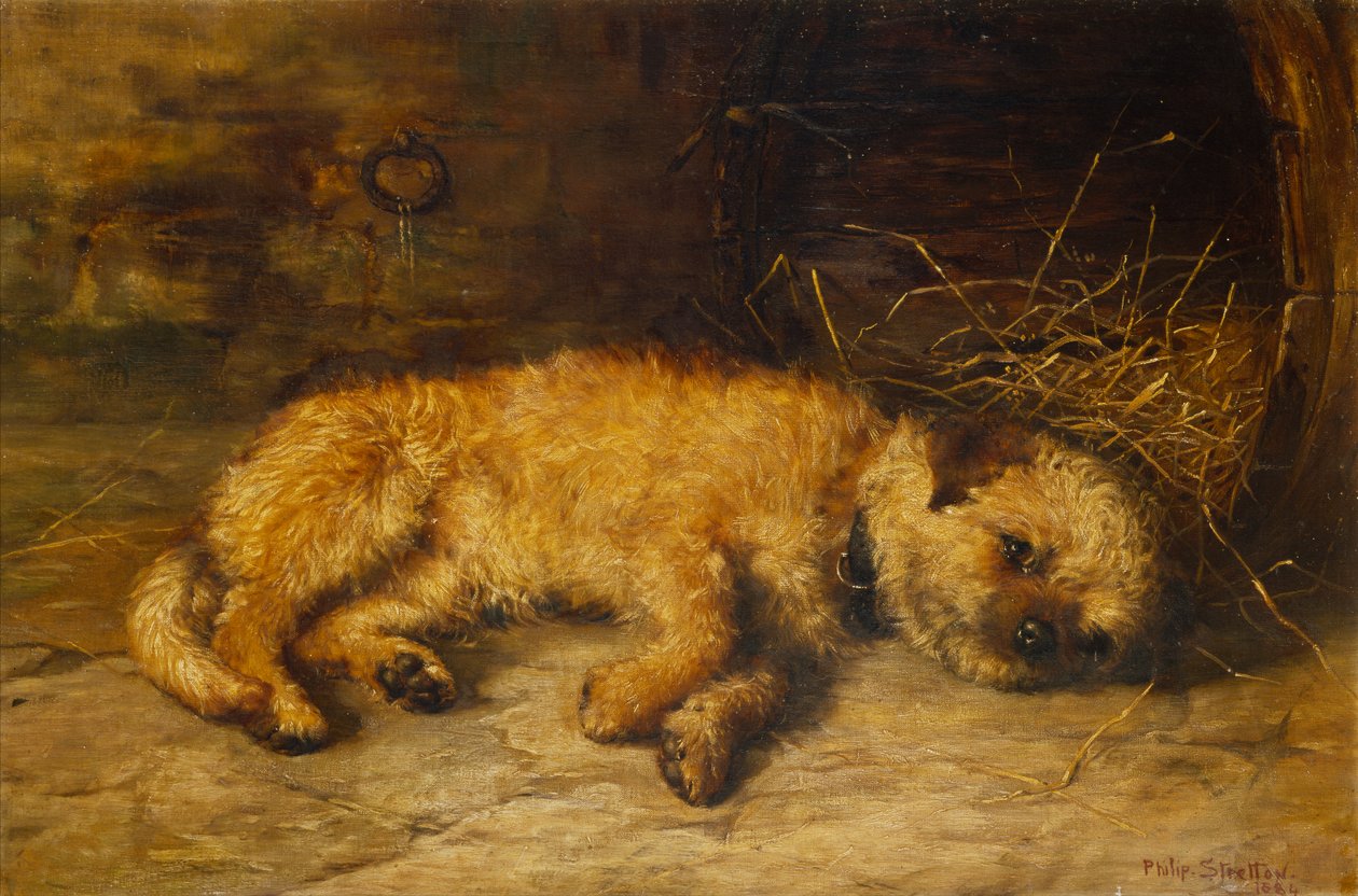 Bir Sınır Teriyeri Yavrusu by Philip Eustace Stretton