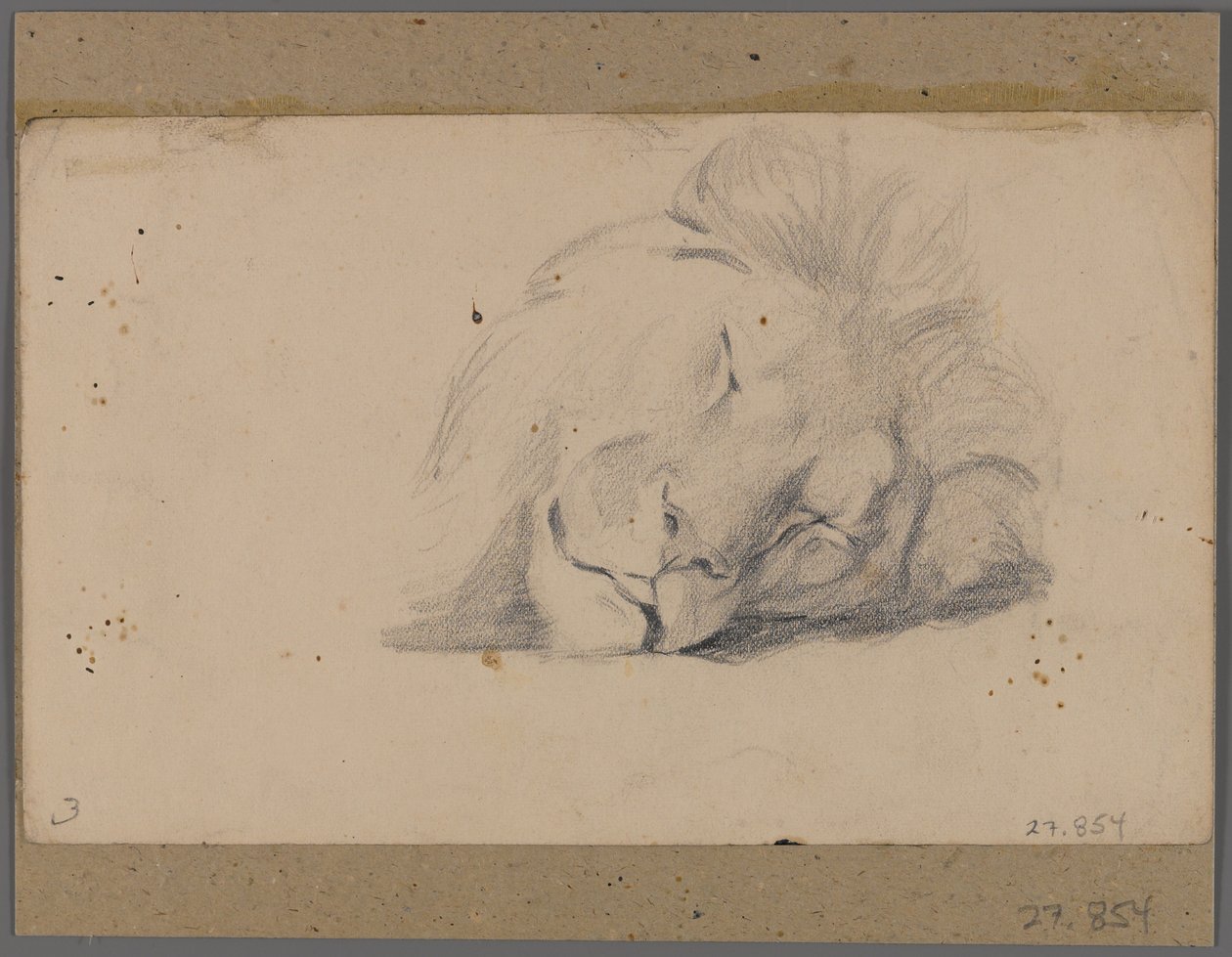 Uyuyan bir aslanın başı (pencere paspasına yapıştırılmış kağıt üzerinde grafit) by Philip H. Wolfrom
