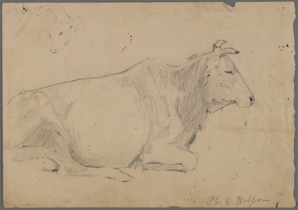 Oturan boğa (kağıt üzerinde grafit) by Philip H. Wolfrom
