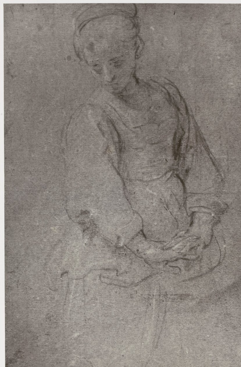 Domenichino, keder by Philip Henry Delamotte