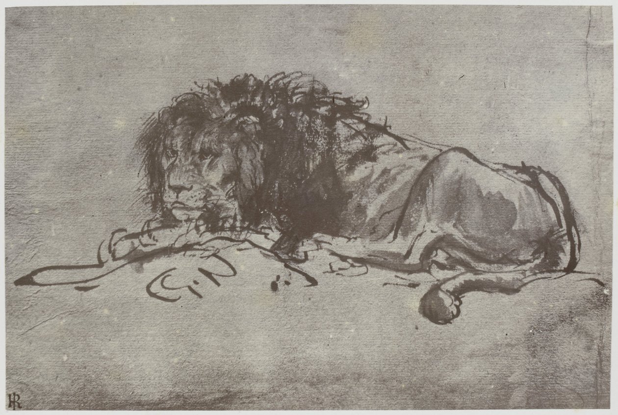 Rembrandt, Bir Aslan by Philip Henry Delamotte