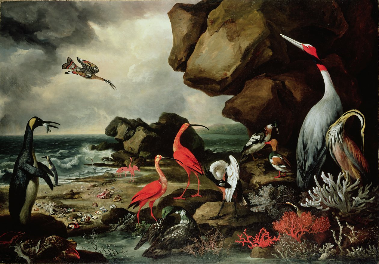 Sahilde Bir Penguen, Bir Çift Flamingo ve Diğer Egzotik Kuşlar, Kabuklar ve Mercan by Philip Reinagle