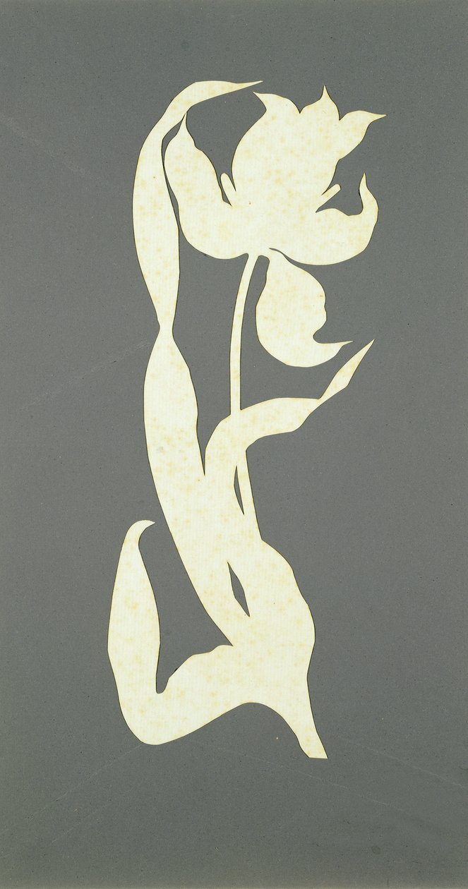 Tulip (collage on paper) by Philipp Otto Runge