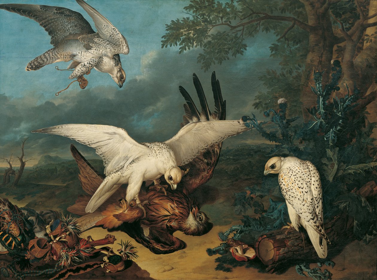 İzlandalı şahinler tarafından yenilmiş kırmızı bir uçurtma by Philipp Ferdinand de Hamilton
