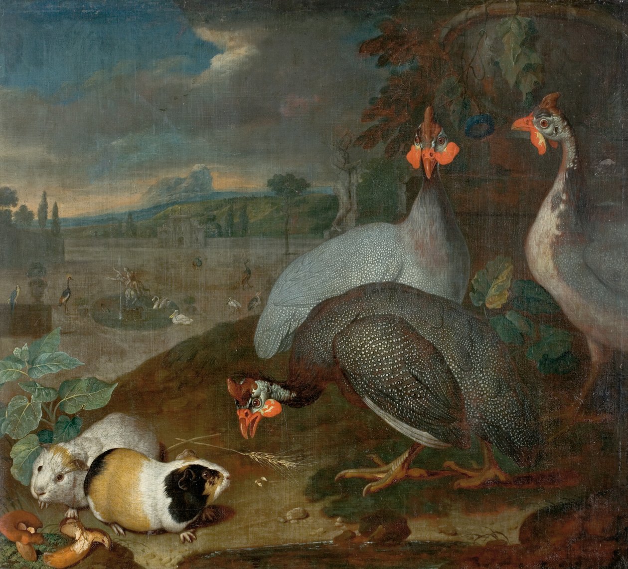 Gine domuzu ile beç tavuğu by Philipp Ferdinand de Hamilton