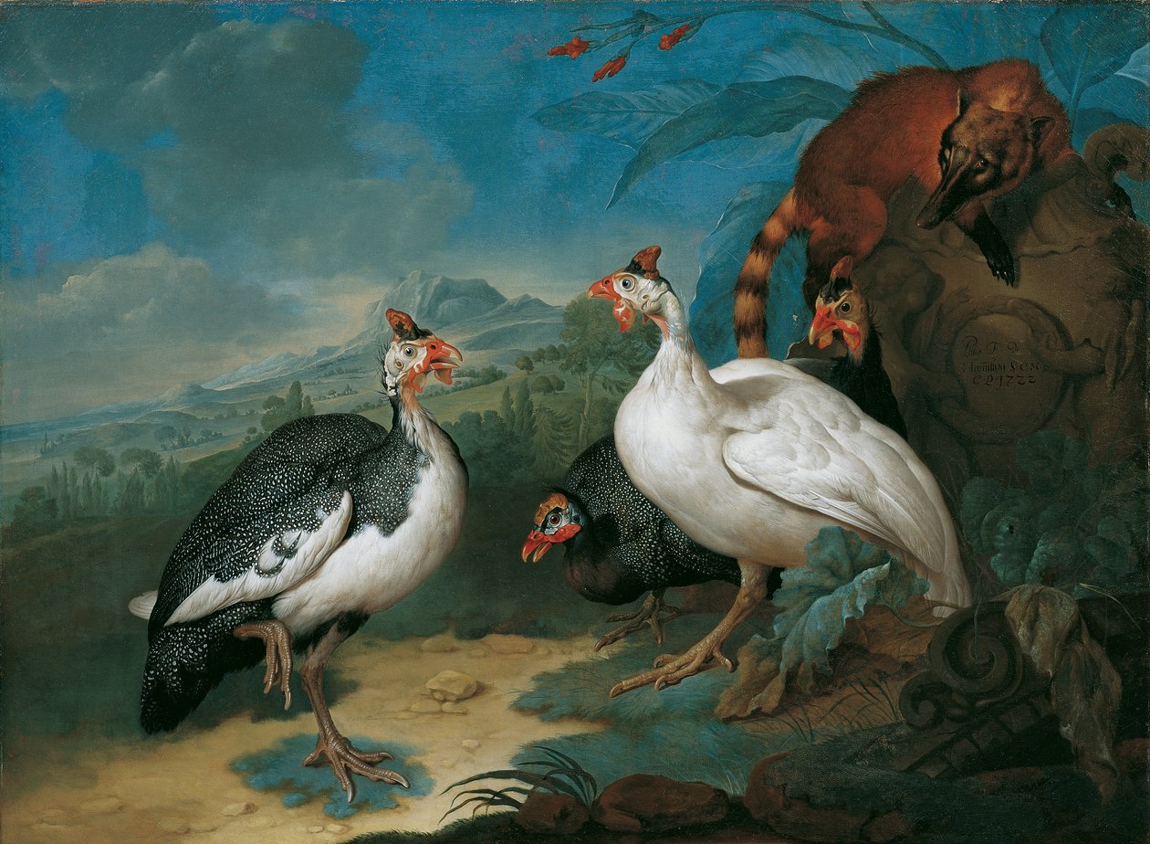 Gine tavuğu ve coati by Philipp Ferdinand de Hamilton