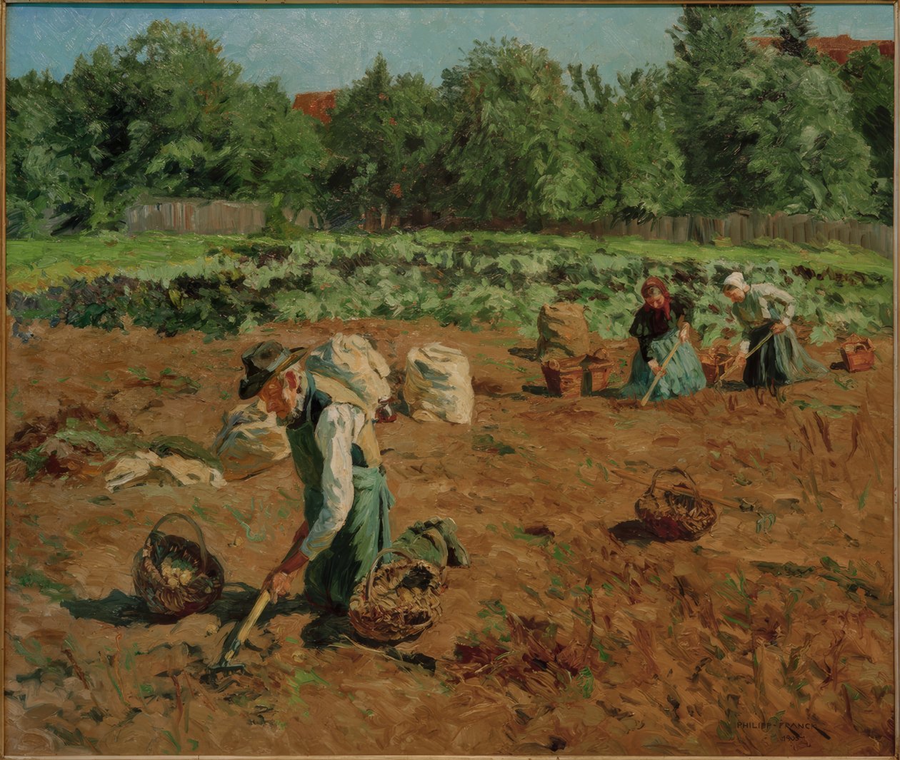patates hasadı by Philipp Franck