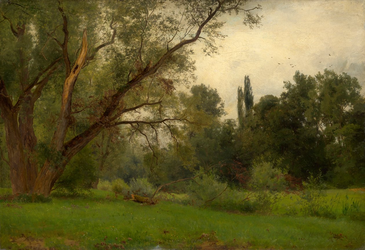 Kleinheubach am Main parkında by Philipp Röth