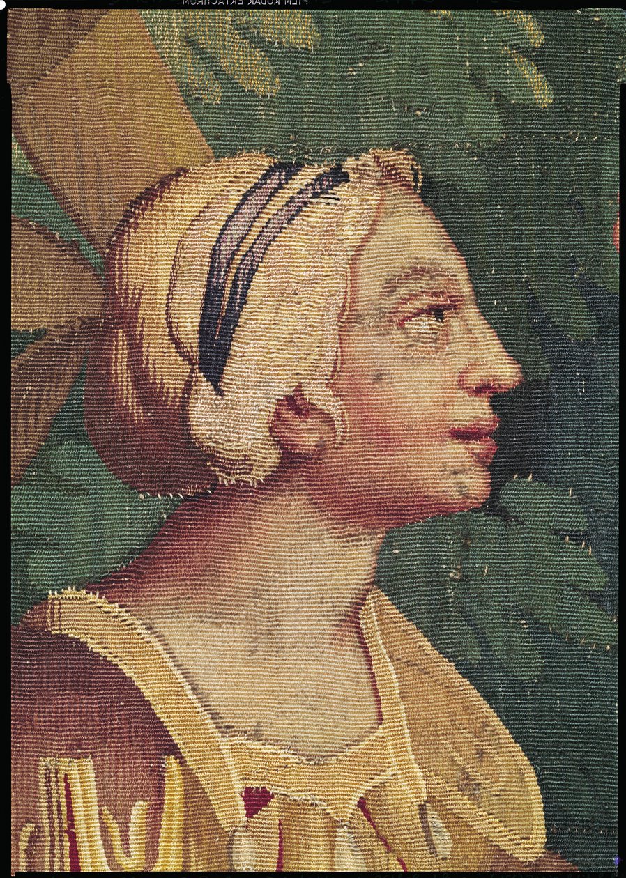 Cephalus ve Procris, Procris başkanının detayı, Beauvais Atölyesi halısı by Philippe Behagle