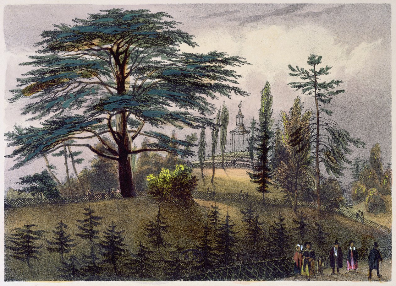 Lübnan Sediri ve Jardin des Plantes, Paris