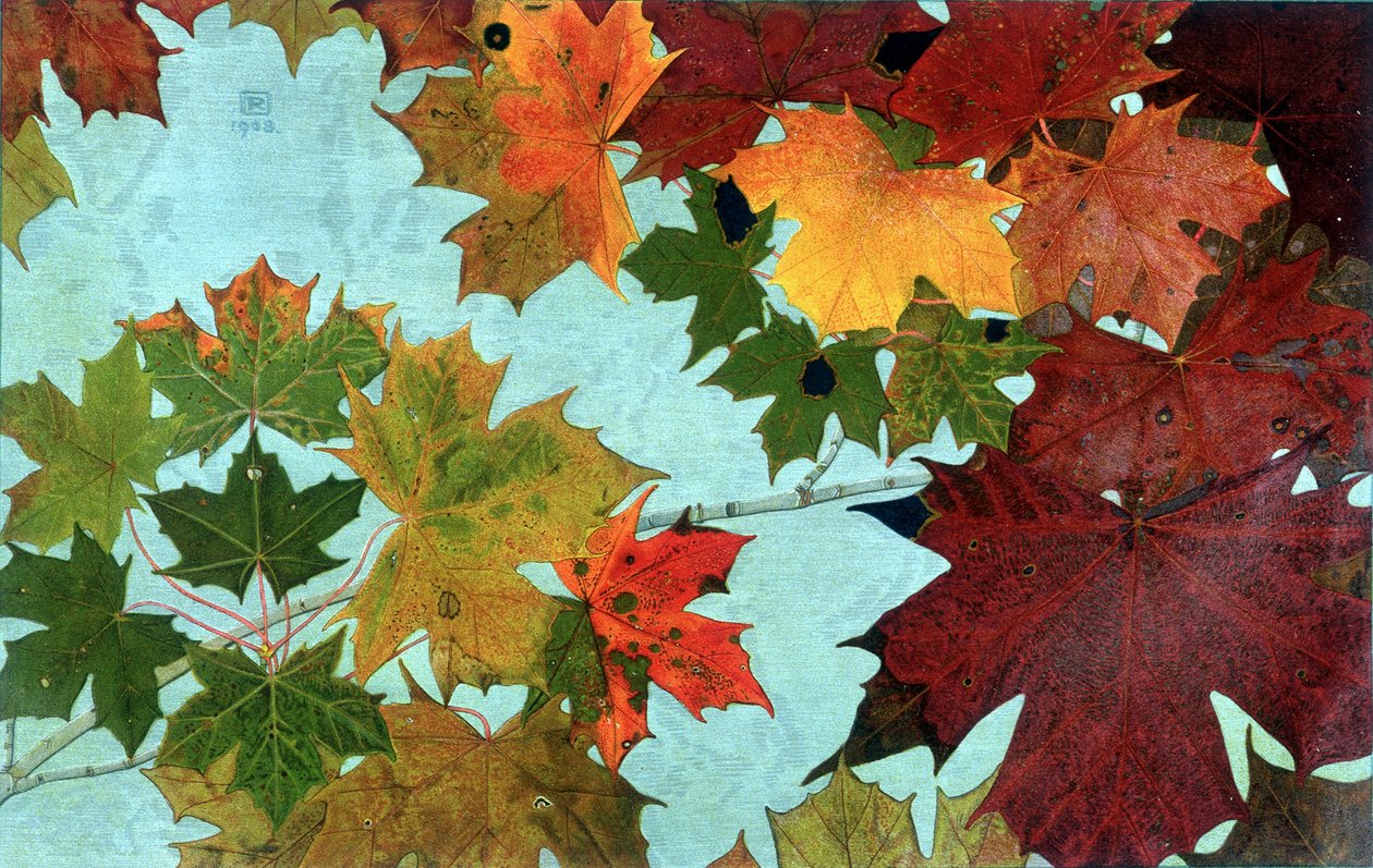 Feuilles d