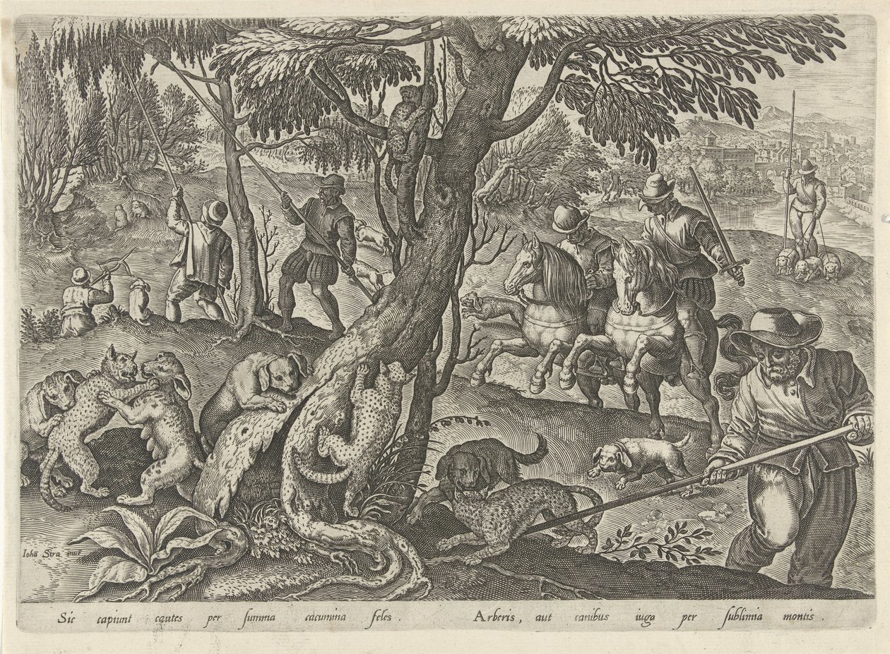 Jacht op wilde katten Jachttaferelen (dizi adı) Her türlü avcılık, avcılık ve balık tutmayı içerir (seri başlığı) by Philips Galle