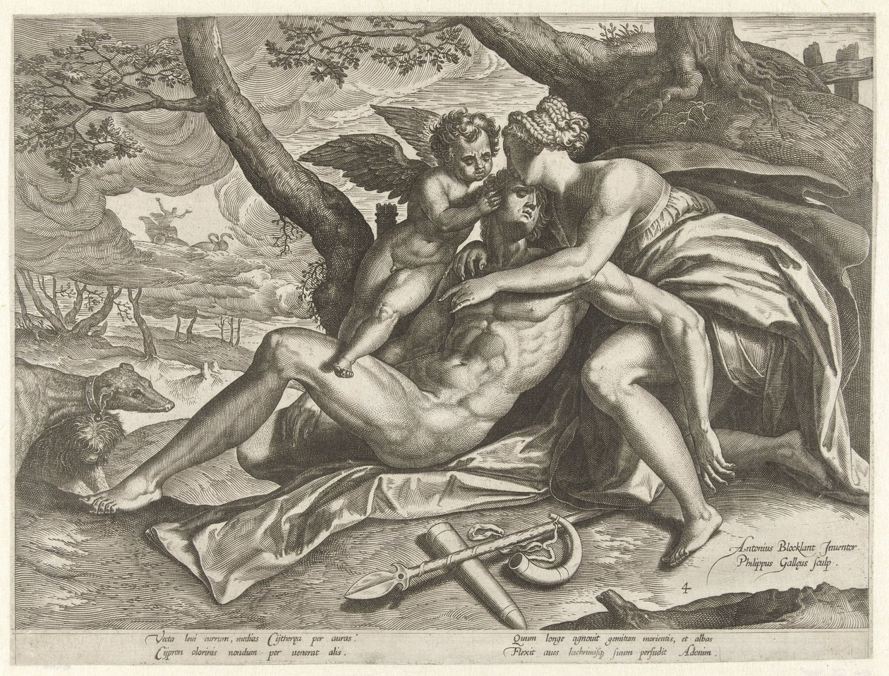 Venüs, Adonis