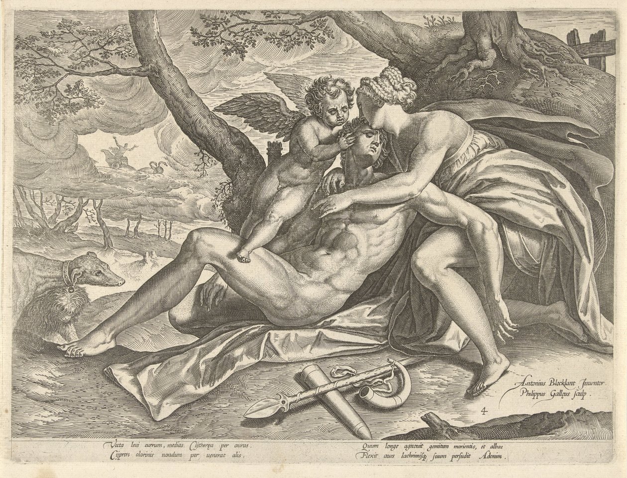 Venüs, Adonis