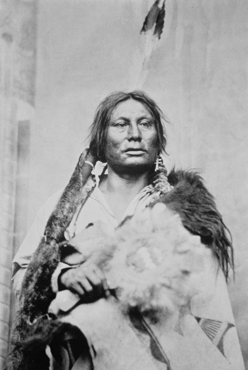 Şef Gall (c.1840-94) (s/b fotoğraf) by Photographer American