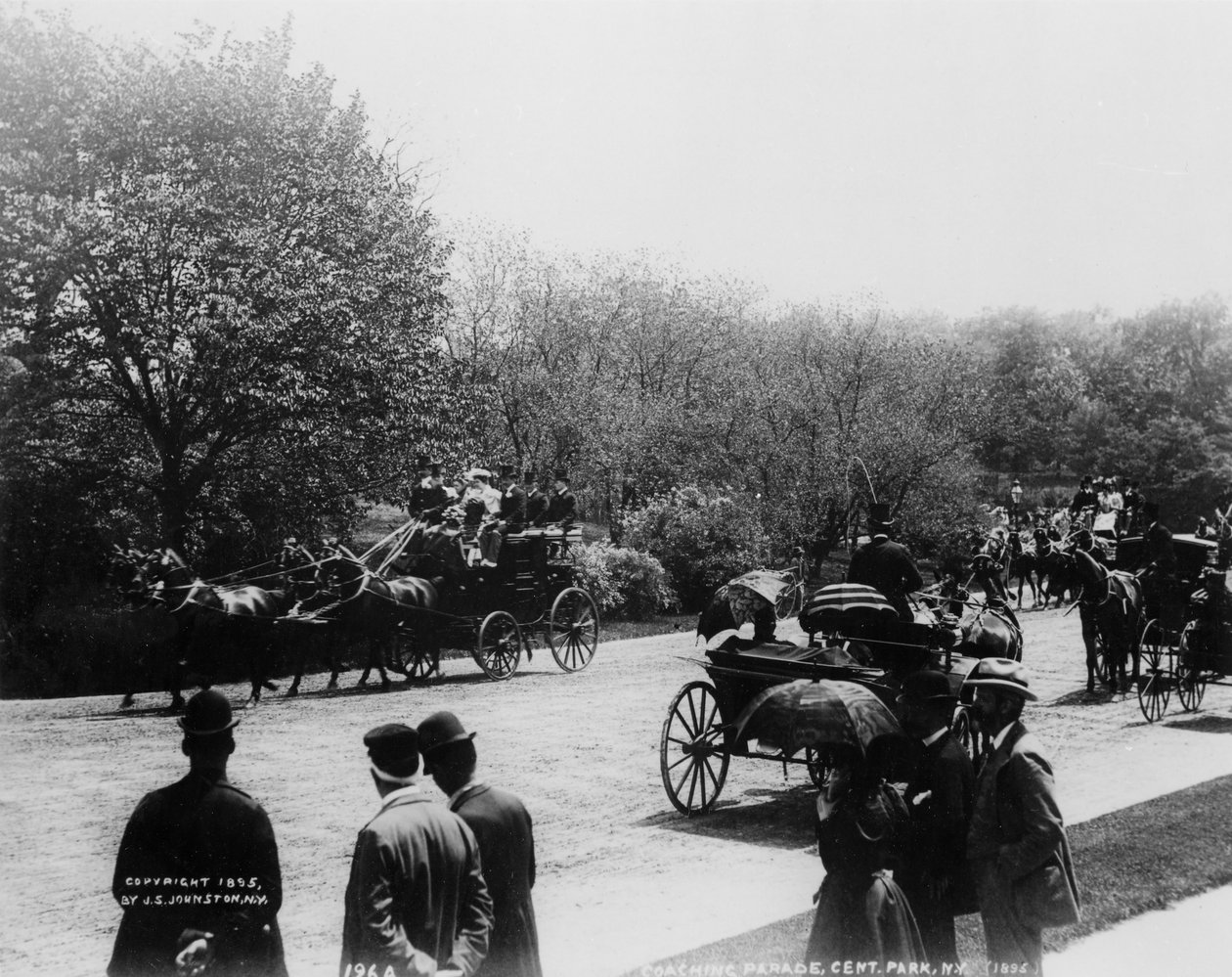 Koçluk, Central Park (s/b fotoğraf) by Photographer American