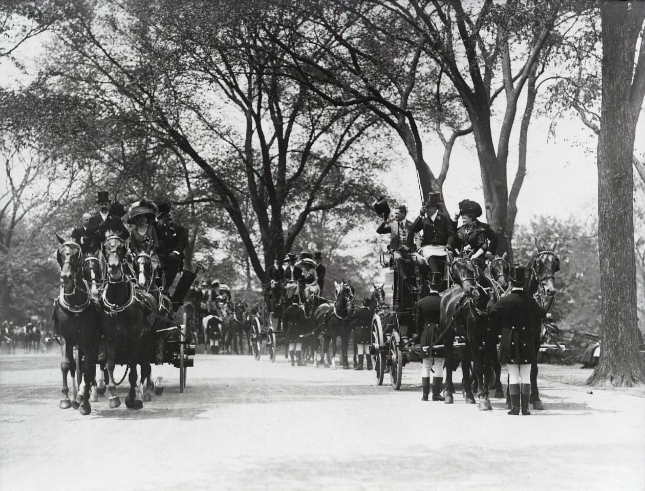 Koçluk, Central Park (s/b fotoğraf) by Photographer American