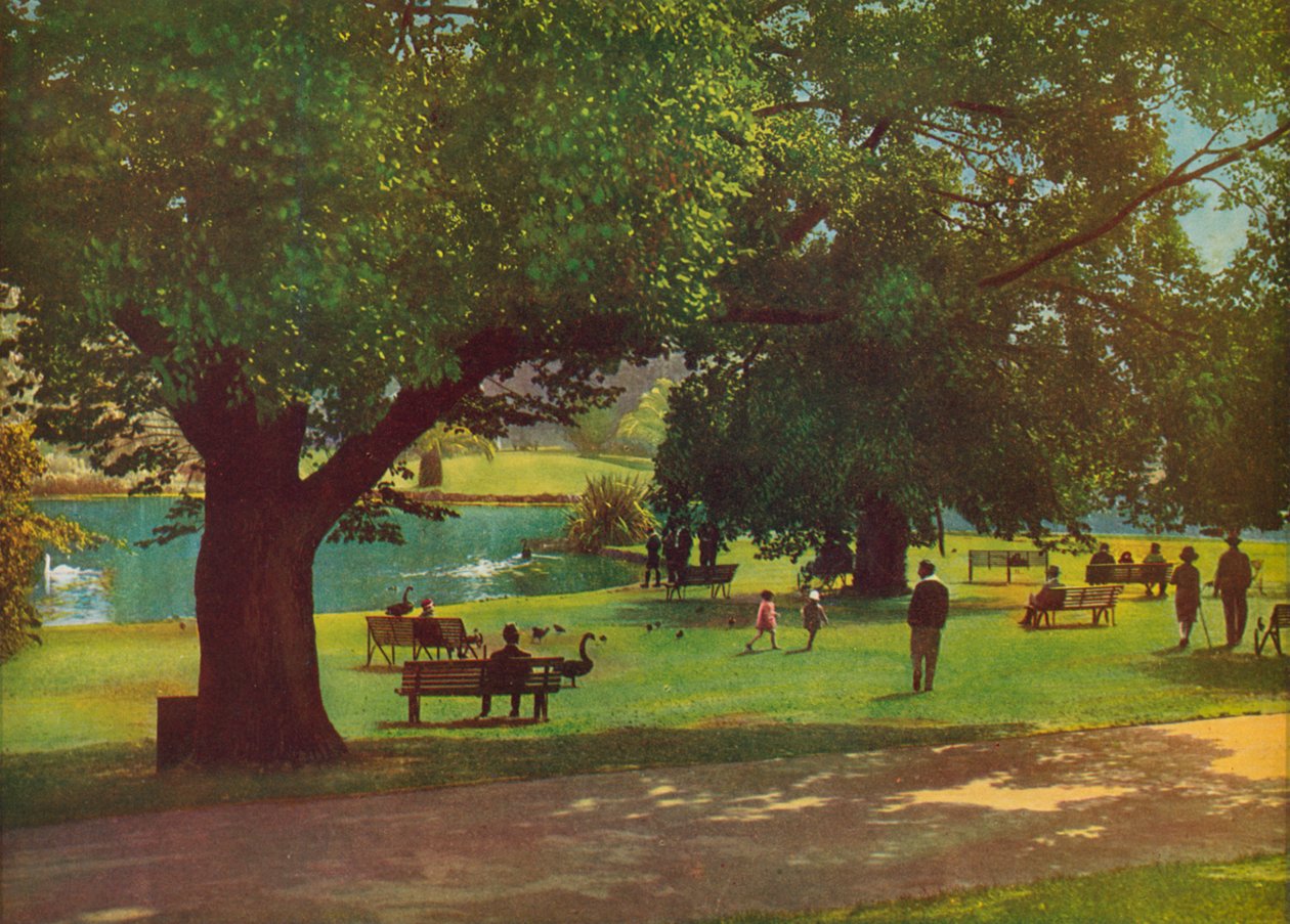  by Photographer Australian