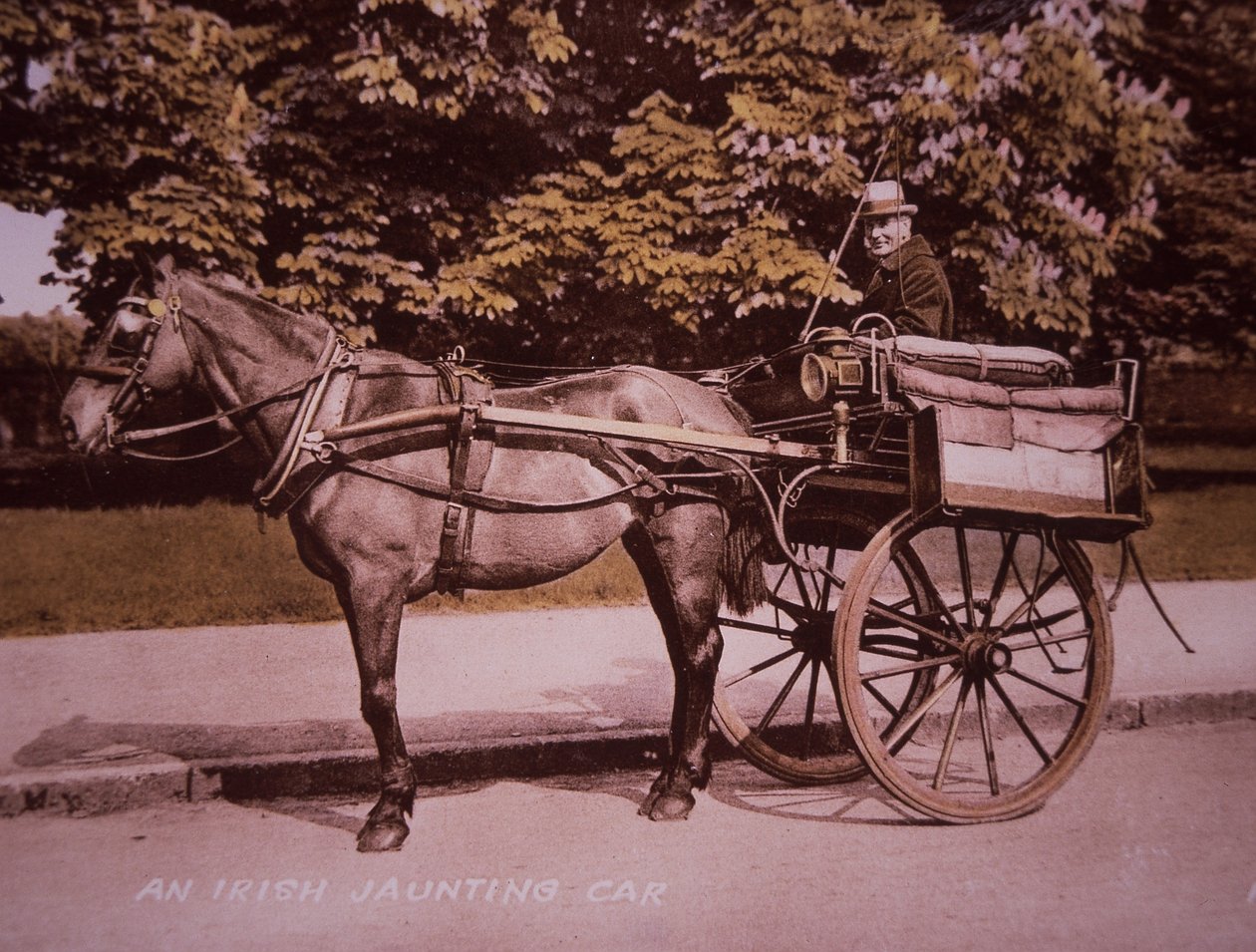 İrlandalı Jaunting Arabası, c.1910 (el ile renklendirilmiş s/b fotoğraf) by Photographer Irish