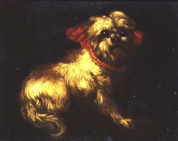 Malta Teriyeri by Pier Francesco Cittadini