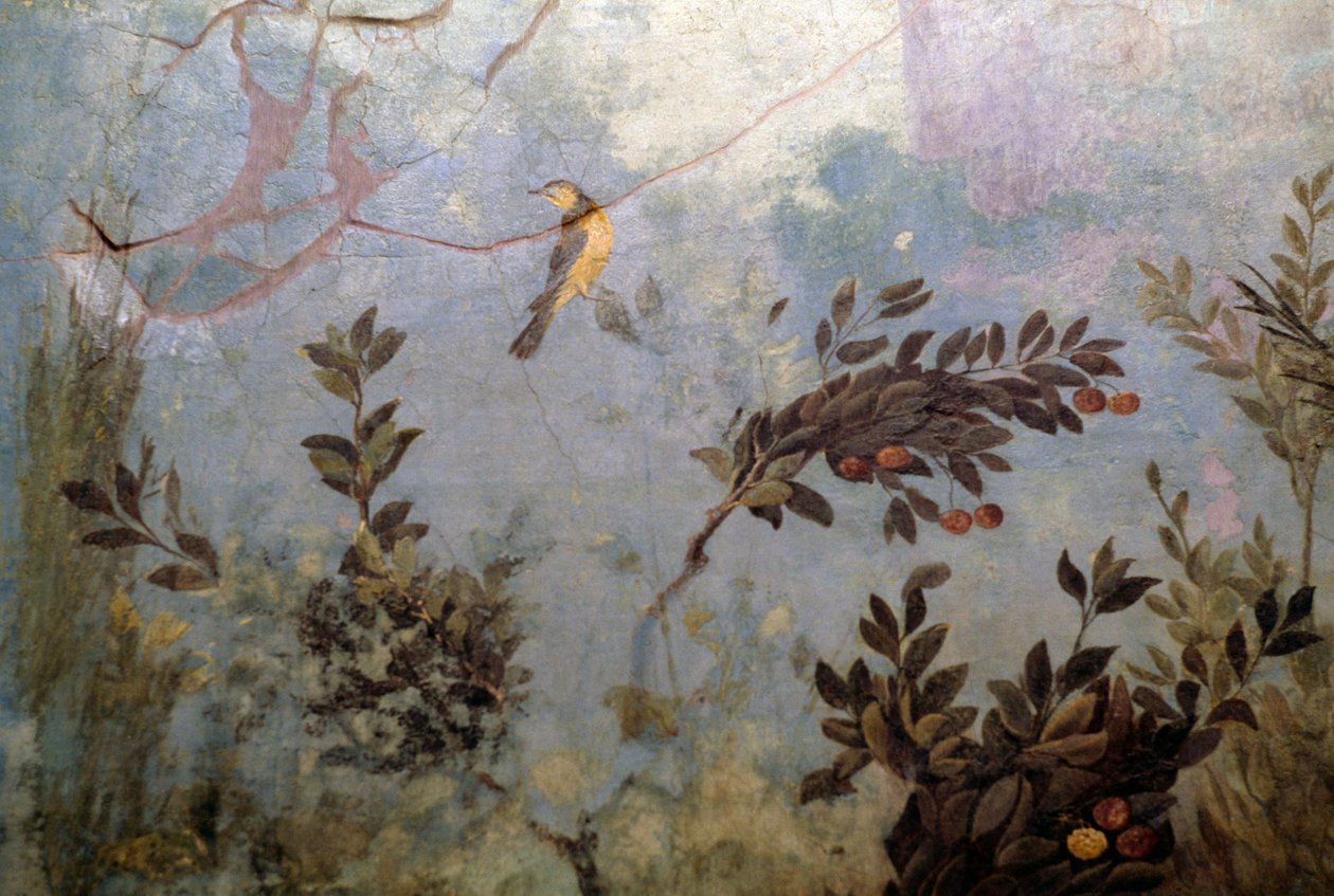 Kuş, İtalya, Roma, Palatine tepesindeki Livia Evi