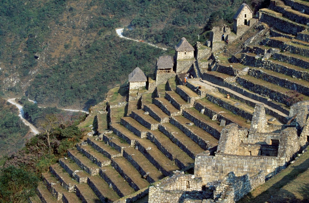 Teraslar, Machu Picchu (Unesco Dünya Mirası Listesi) by Blaise Nicolas Le Sueur