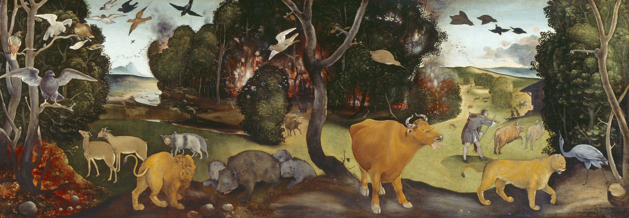 Orman Yangını, 15. yüzyıl by Piero di Cosimo