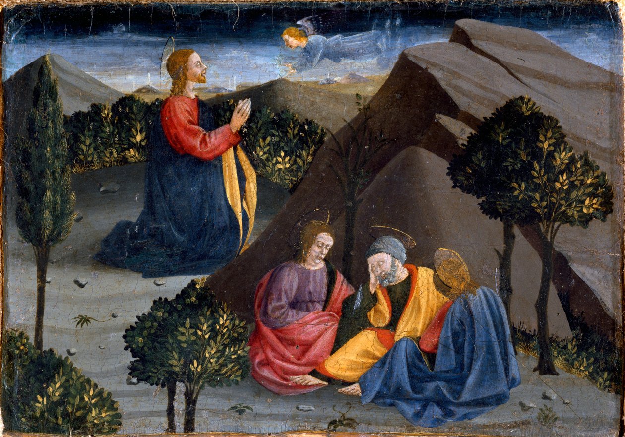 Misericordia