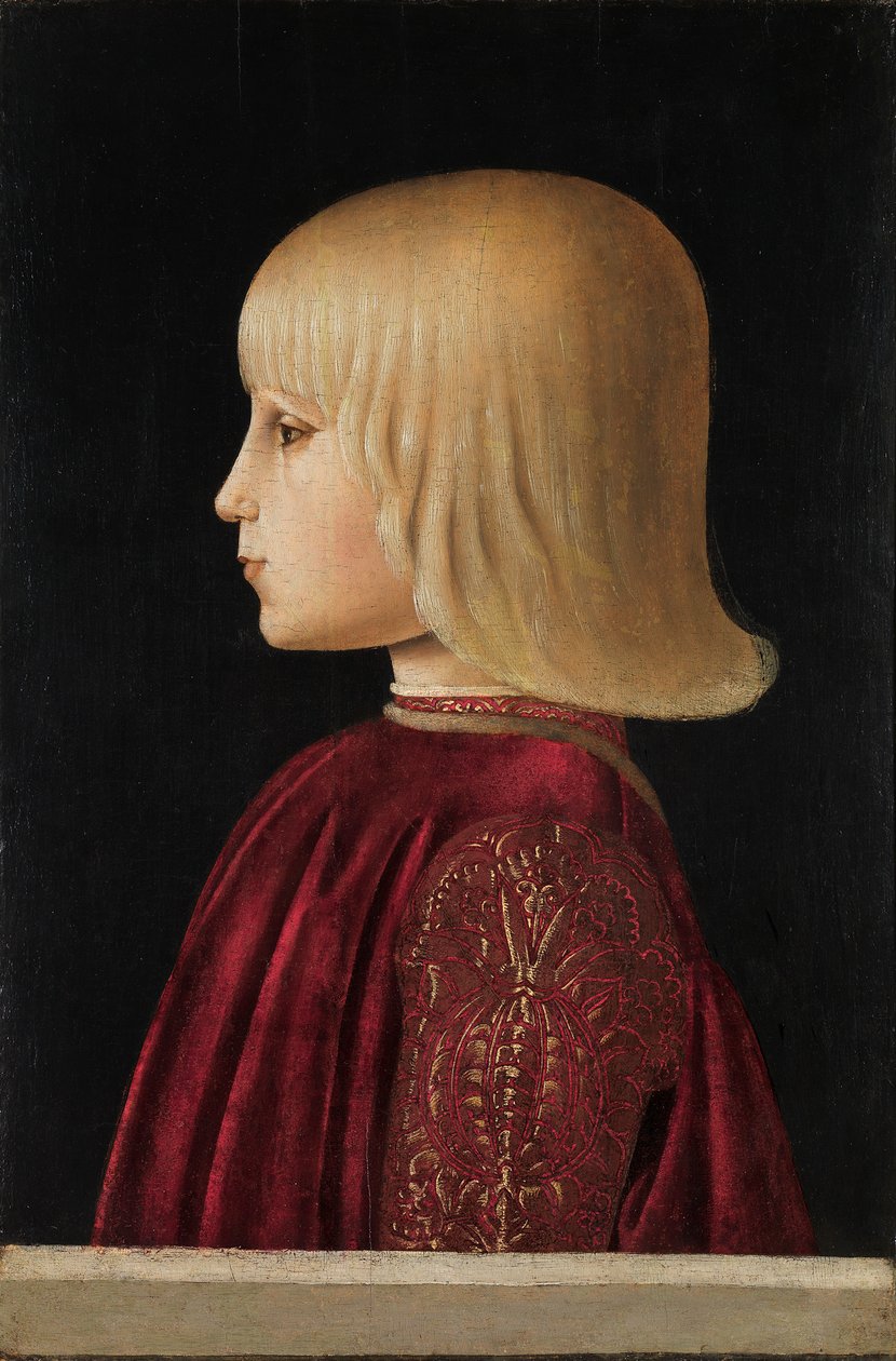 Bir Çocuk Guidobaldo Da Montefeltro