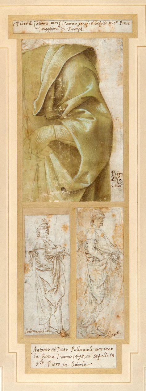 Bir adamın ağır dökümlü sol kolu ve omzu (beyaz kağıt üzerinde beyaz gövde rengiyle yükseltilmiş yeşil yıkamalı kalem ve kahverengi mürekkep) by Piero di Cosimo
