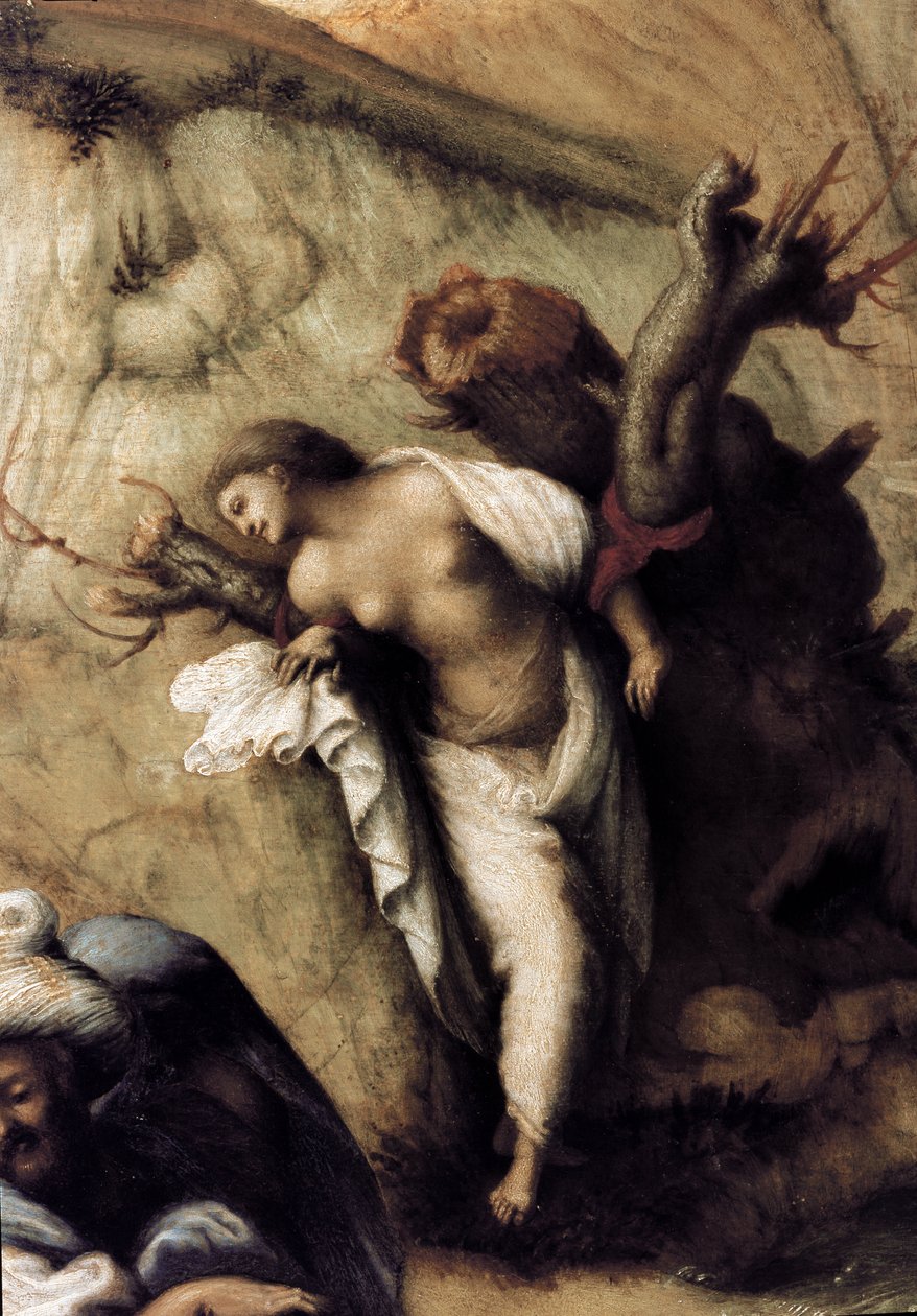 Persee tarafından teslim edilen Andromede, detay (1510, tuval üzerine yağlı boya) by Piero di Cosimo
