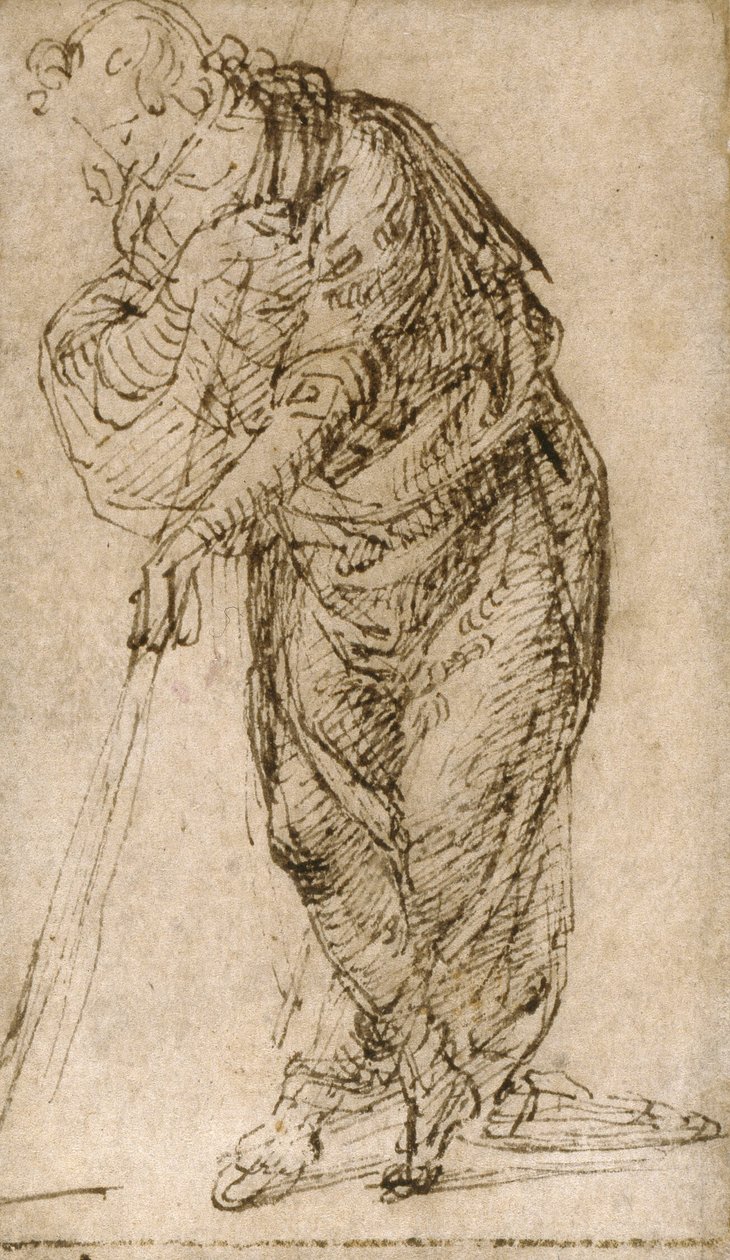  by Piero di Cosimo